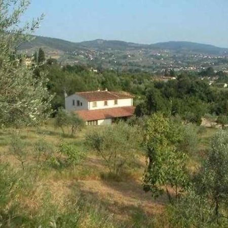 Apartmán Il Frantoio Delle Grazie Florencie Exteriér fotografie