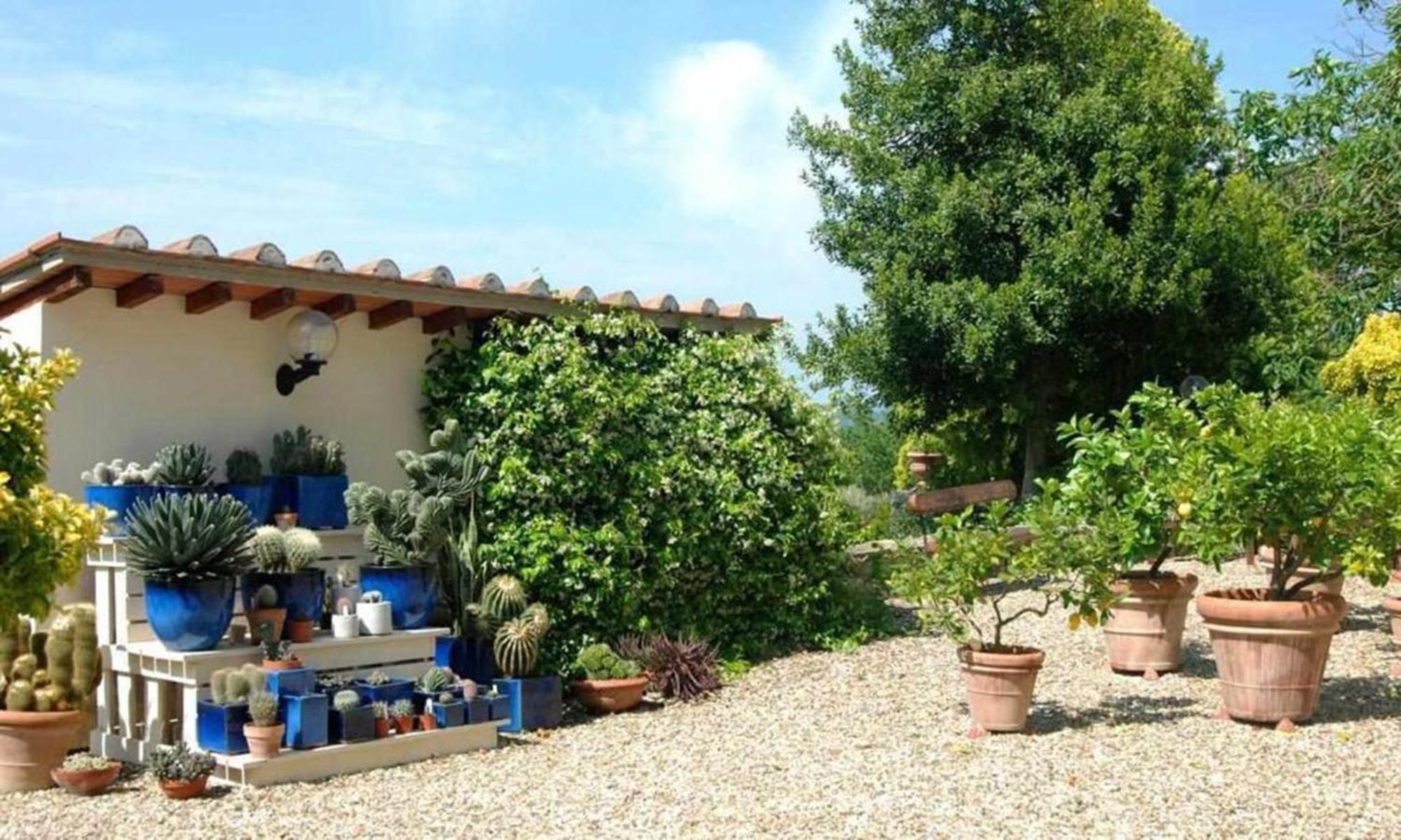 Apartmán Il Frantoio Delle Grazie Florencie Exteriér fotografie